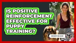 Is Positive Reinforcement Effective For Puppy Training?