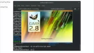 Learn Linux 34 - Shell Scripting 1