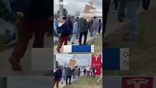 People gather to protest Tesla and founder