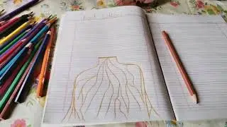 Root letters activity || pre-school activity || montessori #roots #notebook #decoration #preschool