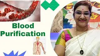 Acupressure Treatment For Blood Purification (in Kannada)
