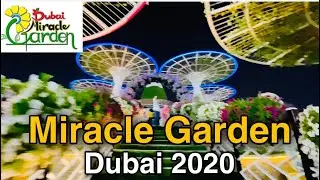 Miracle Garden Dubai 2020-2021