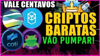 TOP CRIPTOMOEDAS BARATAS QUE VALEM CENTAVOS QUE PODEM VALORIZAR MUITO! CRIPTOS PROMISSORAS PARA 2022