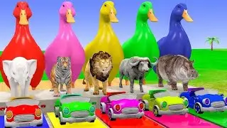 Animals cartoon video hun lion cow pig chicken elephant tiger bhallo jojo animals cartoon video game