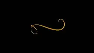 Signature Animation
