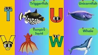 A to Z Sea Animals | Learn Ocean Animal Names & Sounds for Kids #abcd