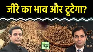 Agri Commodity : NCDEX पर किस एग्री कमोडिटी में खरीदारी करें या बिकवाली? Commodity Market