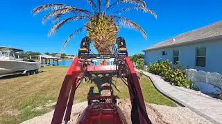 Palm Tree removal with a 35hp tractor