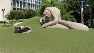 Smooth Jazz with a lake eola view #Orlando #Florida