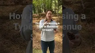 How is Licensing a Type of Revenue Stream? #franchise #franchisedevelopment #license #revenue