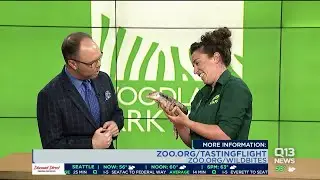 Woodland Park Zoo Events