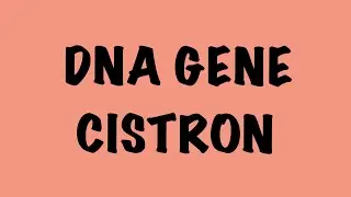 DNA GENE CISTRON : Molecular basis of inheritance | NEET UG | Komal Yadav