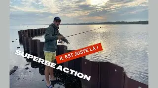 Un BROCHET attaque mon leurre sous mes yeux ! Pêche des carnassiers sur le Lac de Biscarosse