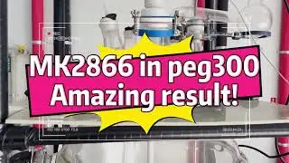 Solubility Test of MK-2866 (Ostarine) in PEG300