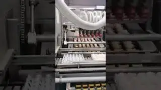 Egg transport#shorts