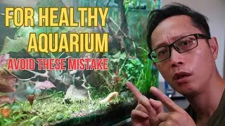 Top 3 Aquarium Mistakes Every Beginner Makes (and How to Fix Them Fast!)