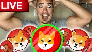 SHIBARIUM!! SHIBA INU AND BONE!!! SHIBA INU COIN LIVE!!!