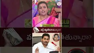 Roja Tongue Slip on YS Jagan | #breakingnews #apnews #yuvagalam #youtubeshorts #shortsvideo