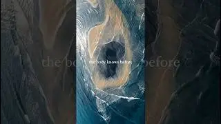 The body remembers the wisdom of healing #meditationmusic #affirmations #selflove #consciouslove