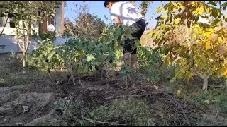 Village life | Garden Work | Farm Animals | Traditional Rural Food