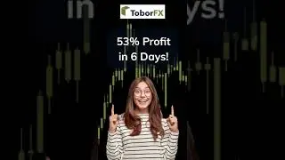 Auto Forex Trading Robot! Toborfx robot the Best Selling Forex Robot! Review
