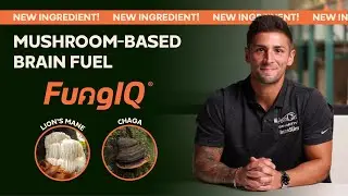 FungIQ: Mushroom-Based Brain Fuel (Lion's Mane & Chaga for Sustained Focus)