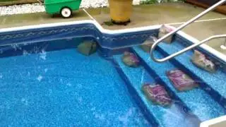 Pool liner floating