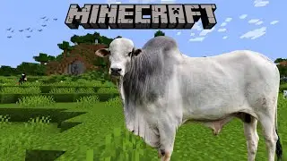 NOVAS TEXTURAS DE VACAS E OVELHAS REALISTAS NO MINECRAFT + DOWLOAD