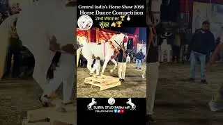 सुंदर बनी central India&rsquo;s Horse Show 2026 dance competition की 2nd विनर 🏆🥈#centralindiashorseshow