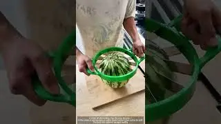 Use the melon cutting tool to cut the watermelon evenly