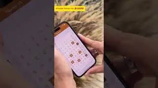 Lotto spielen leicht gemacht mit Clever Lotto!
