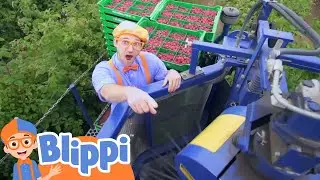 Blippi Visits a Raspberry Factory | Kids Fun & Educational Cartoons | Moonbug Play and Learn