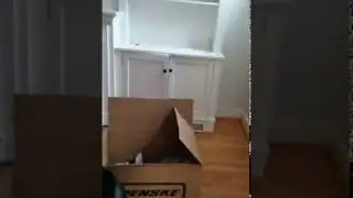 Vacating Philadelphia Tenant During Eviction