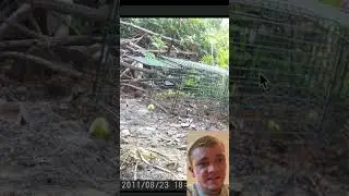 ОБНОВЛЕНИЕ по отлову сурков #Jesus #GrayGang