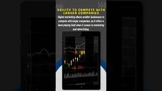 Ability to compete with larger companies