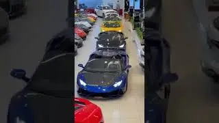 Which one 😍😍 #whichone #lamborghini #cars #stylishcars #bugatti #moderncars #roadstar #wowcreation