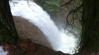 Ammonite Falls