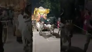 Gaur Nitai On Bull Cart #gauranga #gaurnitai #mayapur #iskconmayapur #iskcon #bullcart #shorts
