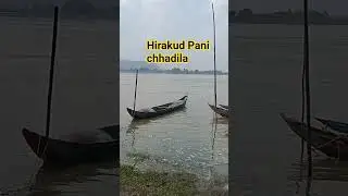 #shortsvideo #flod #Mahanadi#shortsvideo #