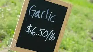 Pick your own fruit and veggies at Bailey Family Farm in Snohomish