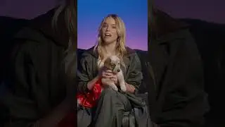 Out-of-this-world cuteness! Watch #PuppyBowl Sunday at 2pm ET | 11am PT on Animal Planet