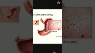 Vidaylin T Tablet use in Urdu/Hindi | technical and medical information | Short Video