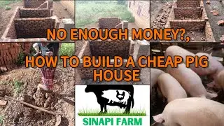 HOW TO BUILD A CHEAP PIG HOUSE AT NO COST.