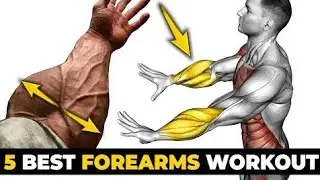 6 Best Forearm Exercises | Killer Forearm Workout You’ve Never Tried | How to Grow Forearms & Wrists