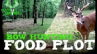 Food Plots For Bow Hunting : Kill Plot Update S6 : #15