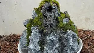 The Mossy Cliff Aquaterrarium Bowl w/ Mini Waterfall #aquaterrarium #moss #nature #naturescape