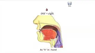 The throat letters in Arabic