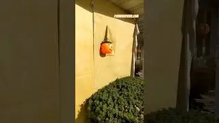 #diy #castle #halloween #like #fiberglass #glue #subscribe