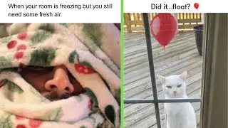Funny Memes 134 | Did it... float?
