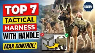 Top 7 best tactical dog harness with handle review 2026 latest (Unexpected) control powerful dogs